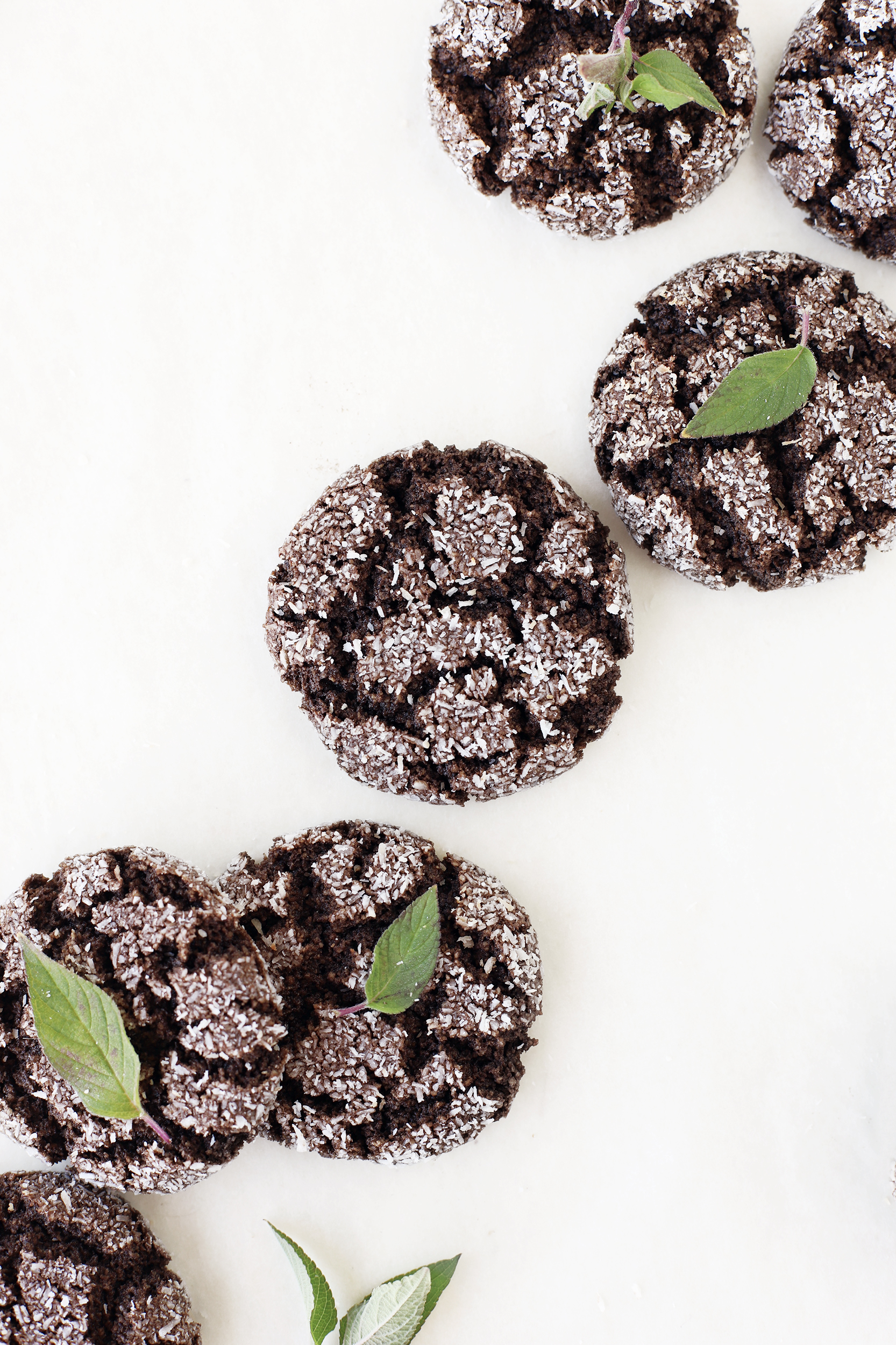 Rich and fudgy vegan dark chocolate peppermint crinkle cookies covered in powdered coconut and decorated with fresh mint leaves
